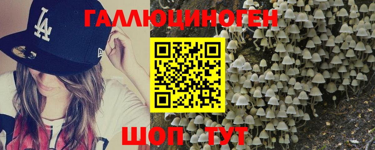 Псилоцибиновые грибы мицелий Борисоглебск